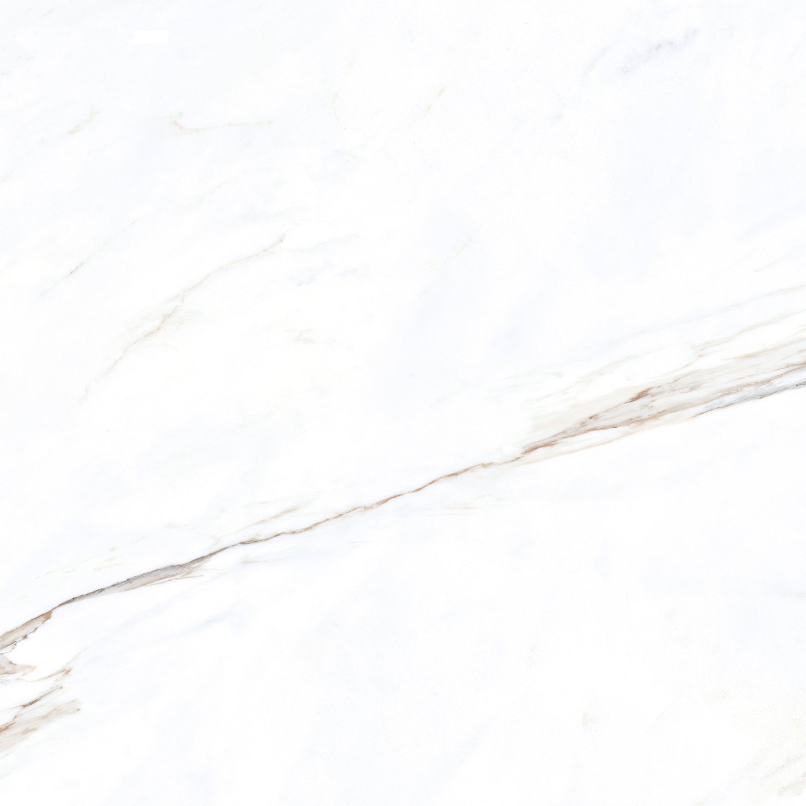 PLATINUM 60X60 JARDIN GREY